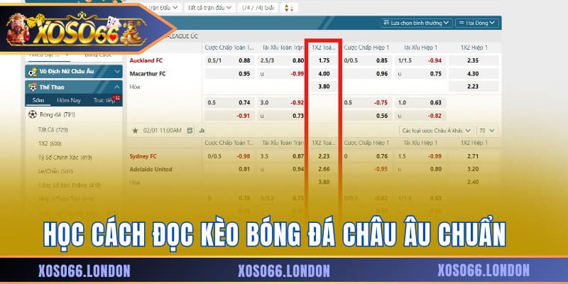 Học cách đọc kèo bóng đá châu Âu chuẩn