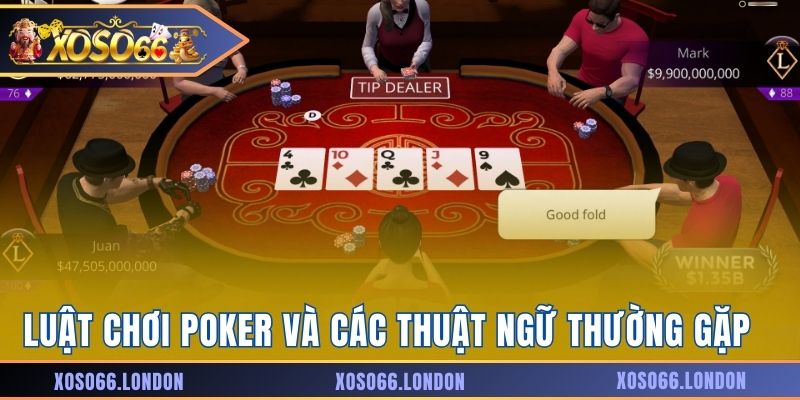 Luật chơi Poker và các thuật ngữ thường gặp