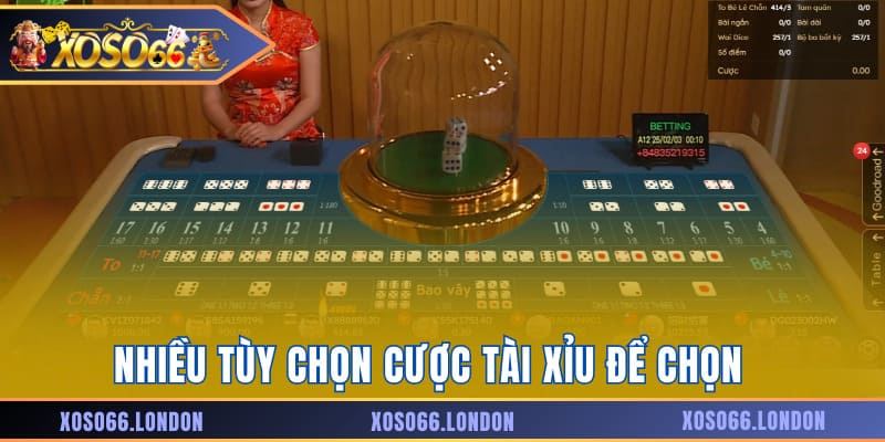 Nhiều tùy chọn cược tài xỉu để chọn